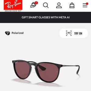 Ray-Ban Erika Classic